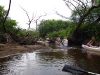 luznice_2007_1016