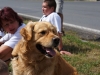 ohre2012_017