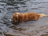 ohre2012_067
