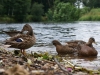 ohre2012_075