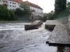 foto_122