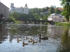 foto_052