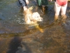 foto_035