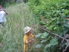 foto_064