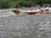 foto_119